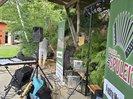 Waldfest in Oberkohlstätten Bgld. 2024